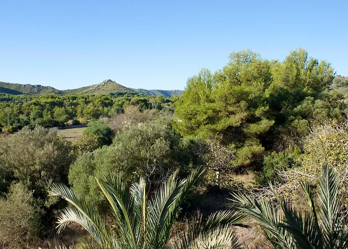 Fonda Las Palmeras